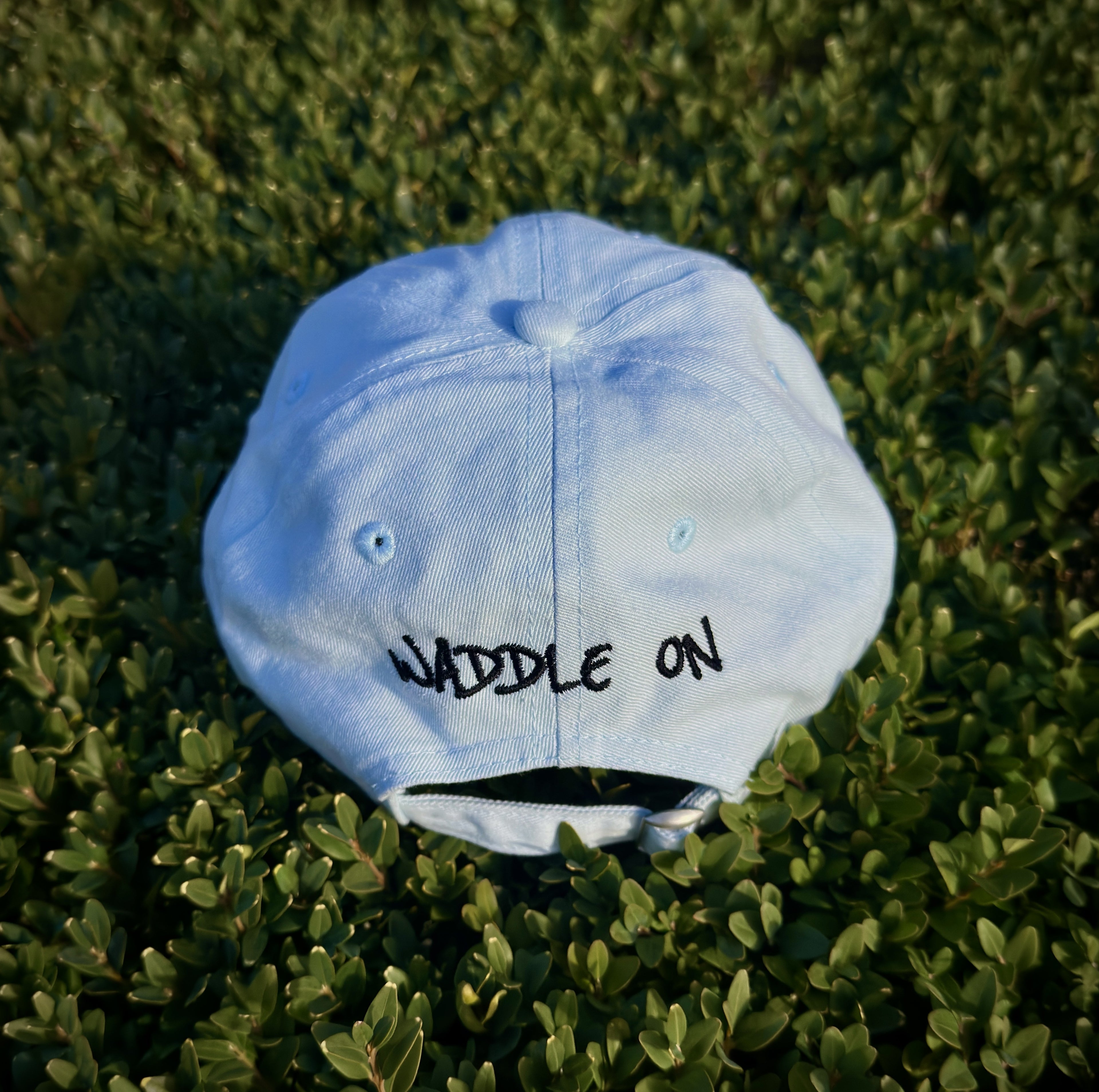 Waddle On Cap