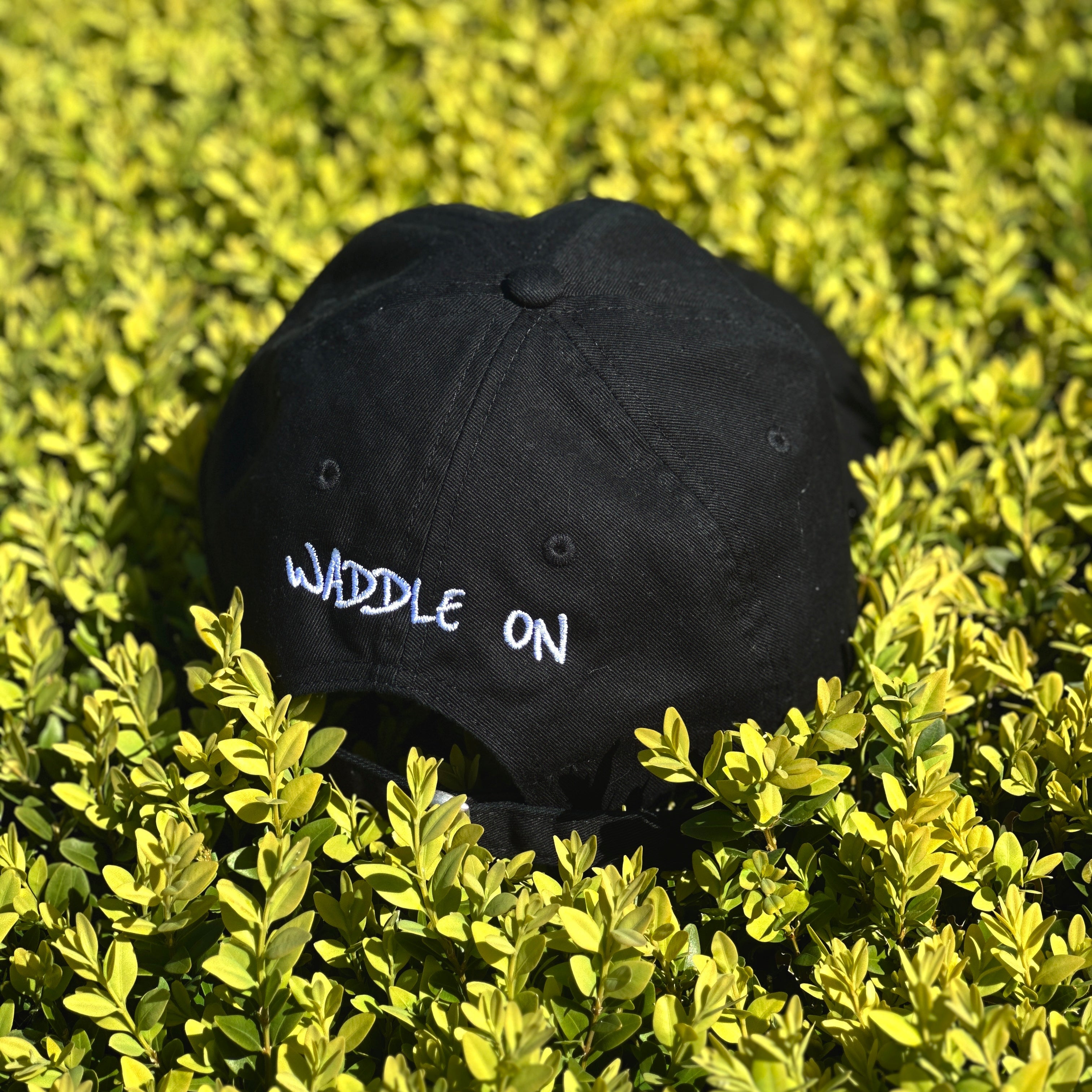 Waddle On Cap